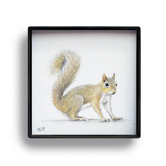 Squirrel Picture Box Miniature Painting by Amanda Gosse