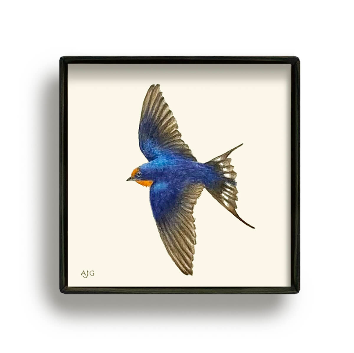 Swallow flying Picture Box miniature bird painting by Amanda Gosse