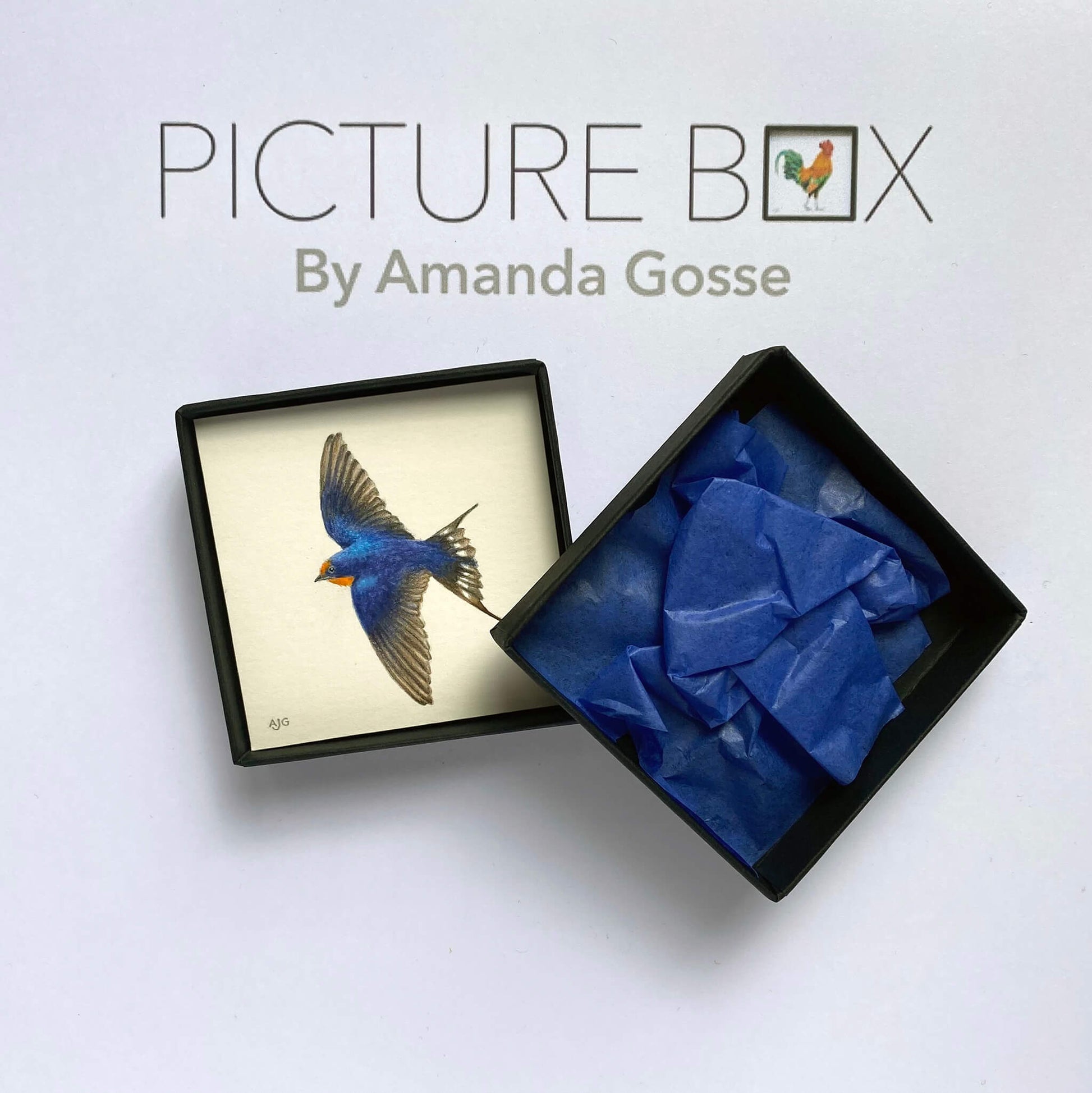 Swallow in flight Picture Box miniature bird painting by Amanda Gosse