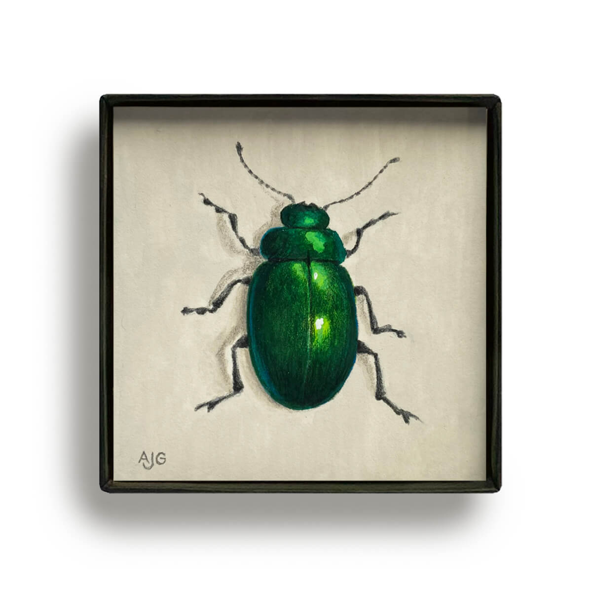 Jewel beetle Picture Box miniature insect painting by Amanda Gosse