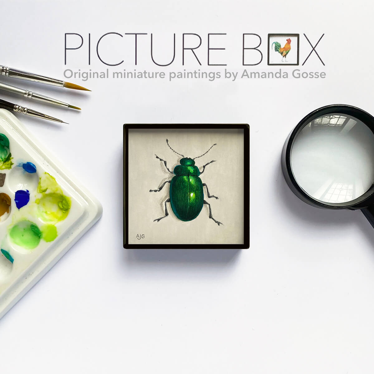 Jewel beetle Picture Box miniature bug painting by Amanda Gosse