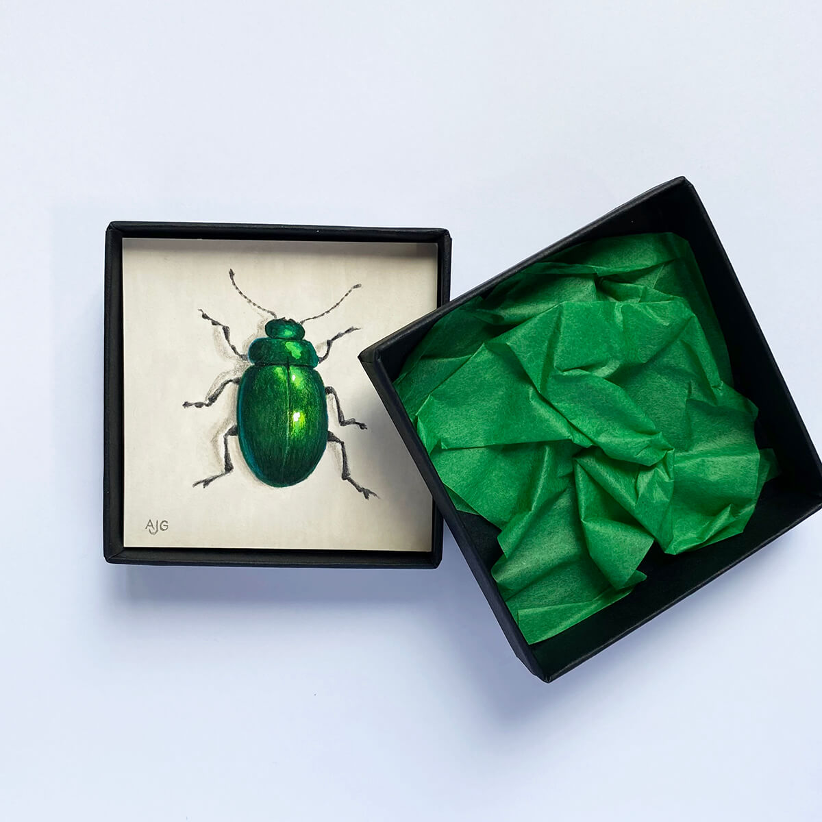 Metallic green scarab beetle Picture Box miniature insect painting by Amanda Gosse