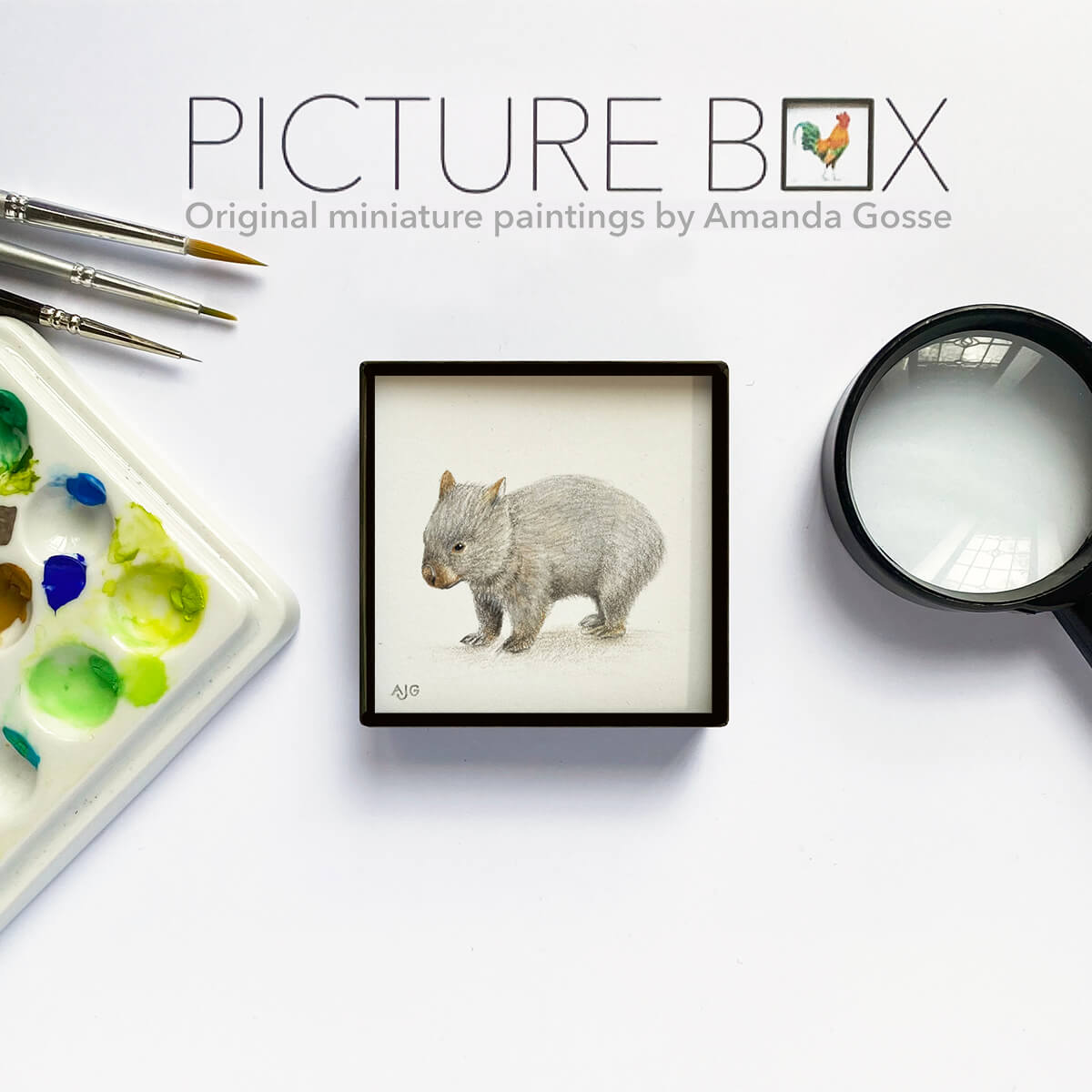 Wombat Picture Box miniature Australian animal artwork by Amanda Gosse