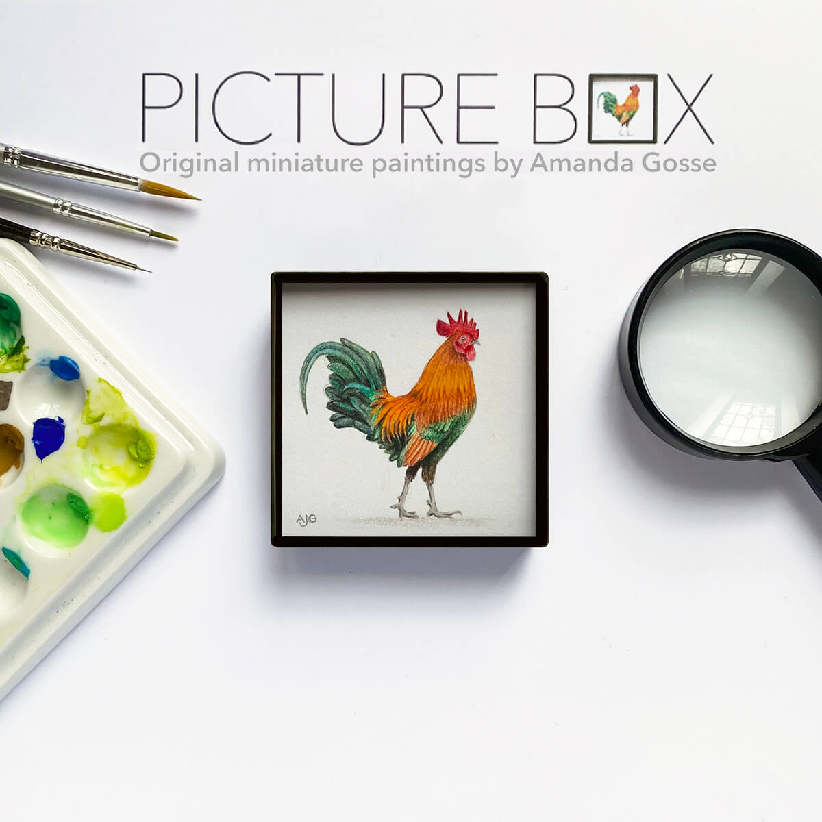 Rooster Picture Box miniature bird painting by Amanda Gosse