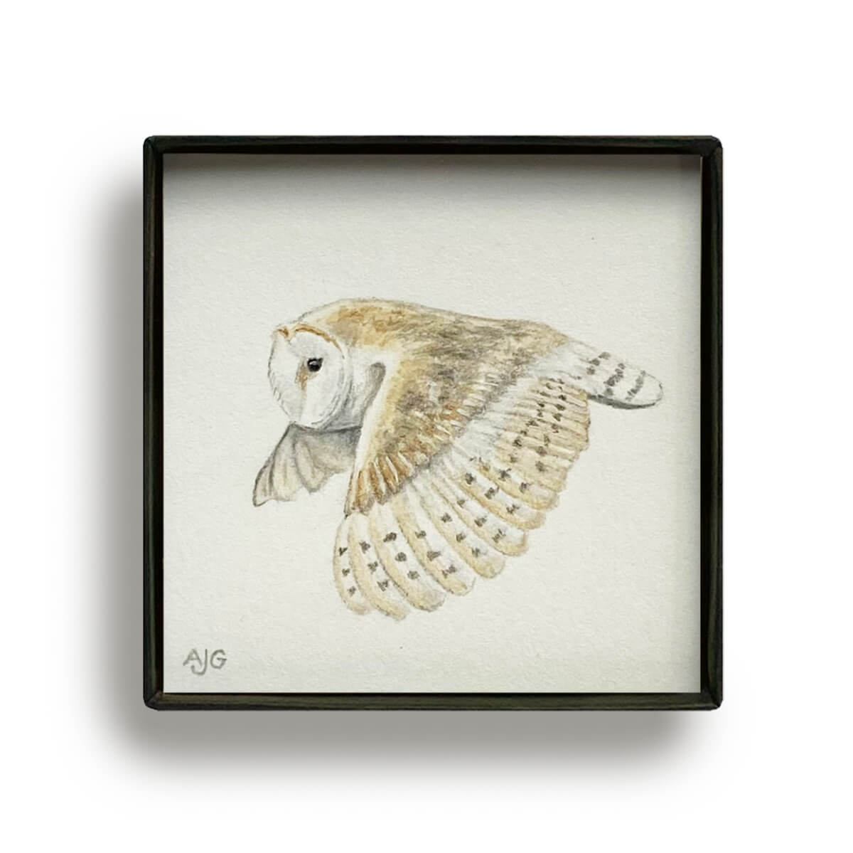 Barn Owl Picture Box miniature bird painting by Amanda Gosse