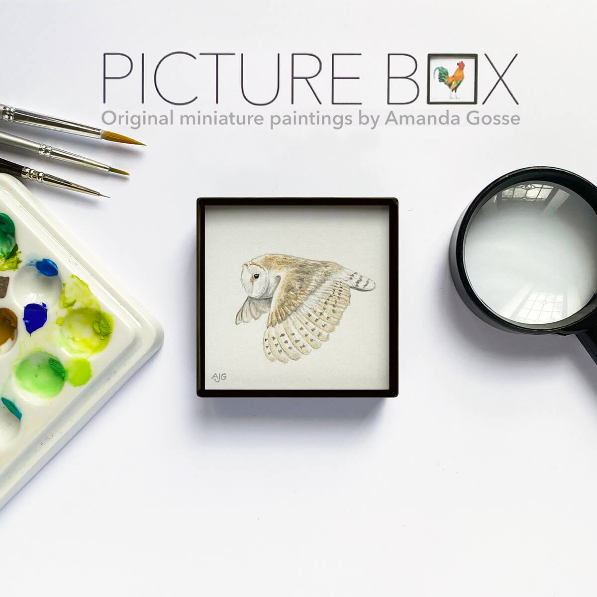 Barn Owl Picture Box miniature bird artwork by Amanda Gosse