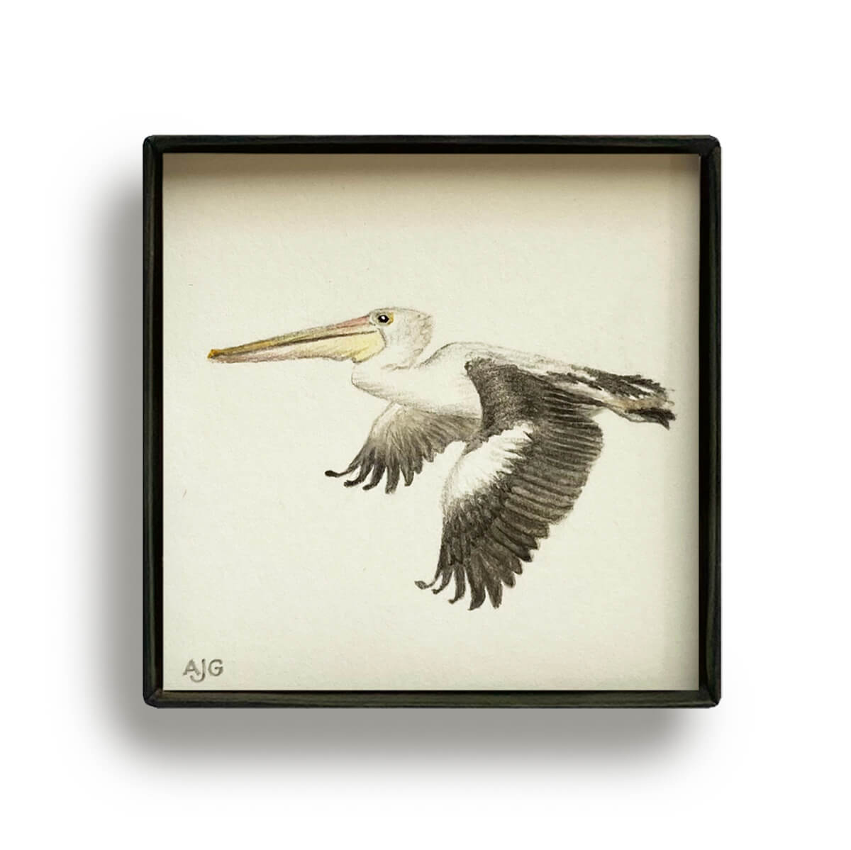 Pelican Picture Box miniature bird painting by Amanda Gosse