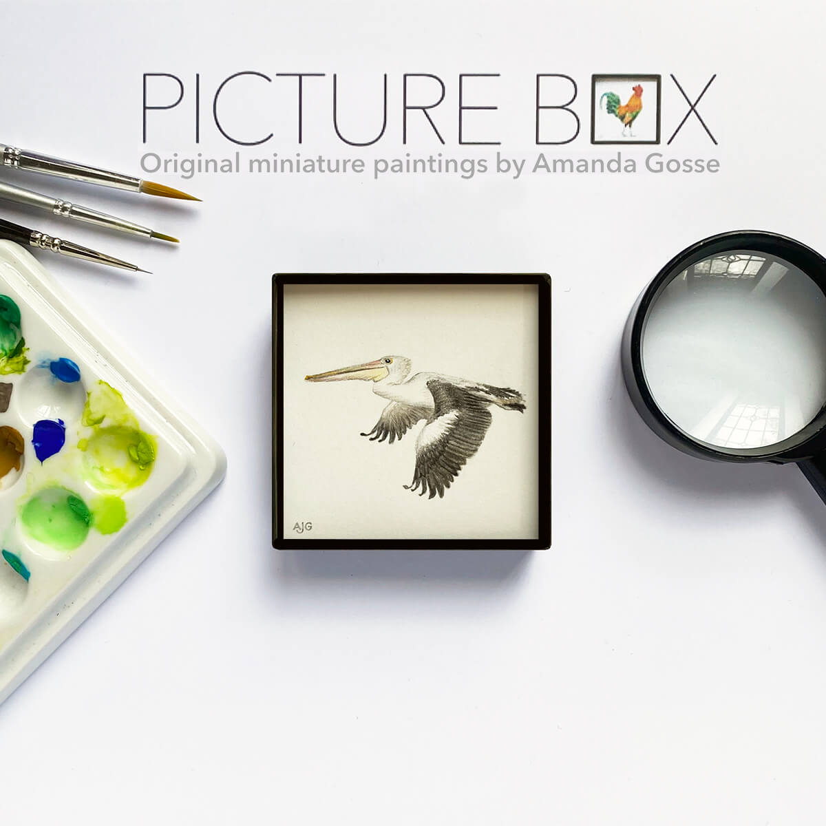 Pelican Picture Box miniature bird artwork by Amanda Gosse