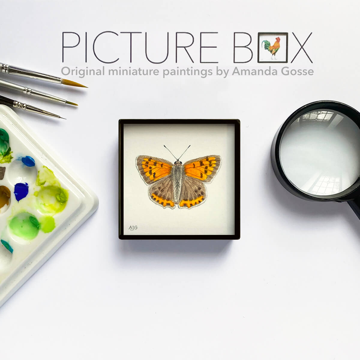 Small Copper Butterfly Painting Picture Box miniature insect artwork by Amanda Gosse