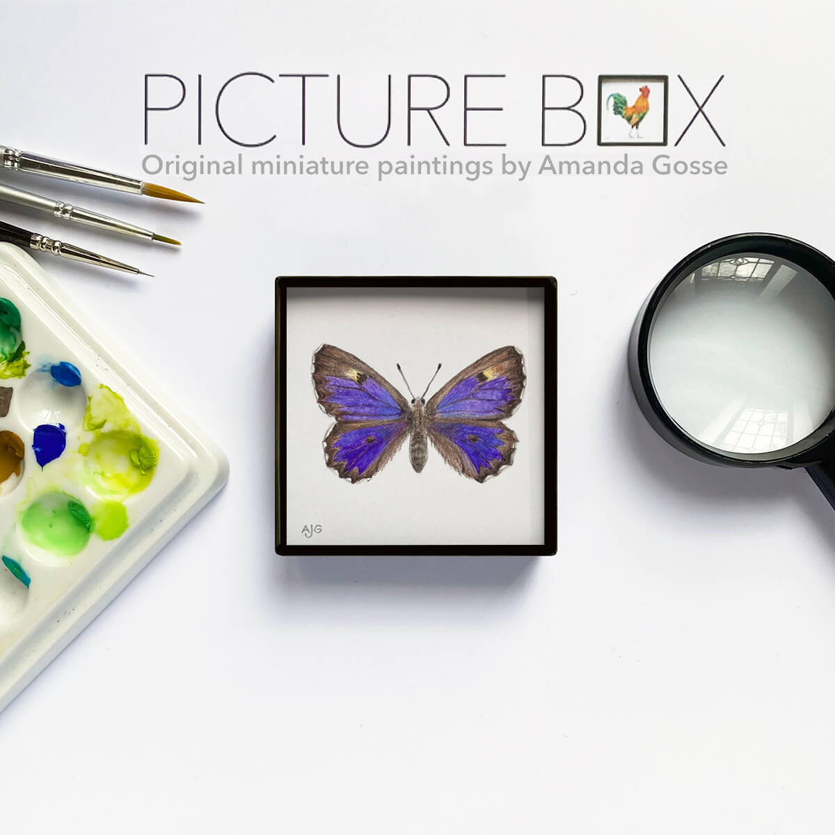 Bronze Azure Butterfly Painting Picture Box miniature insect artwork by Amanda Gosse