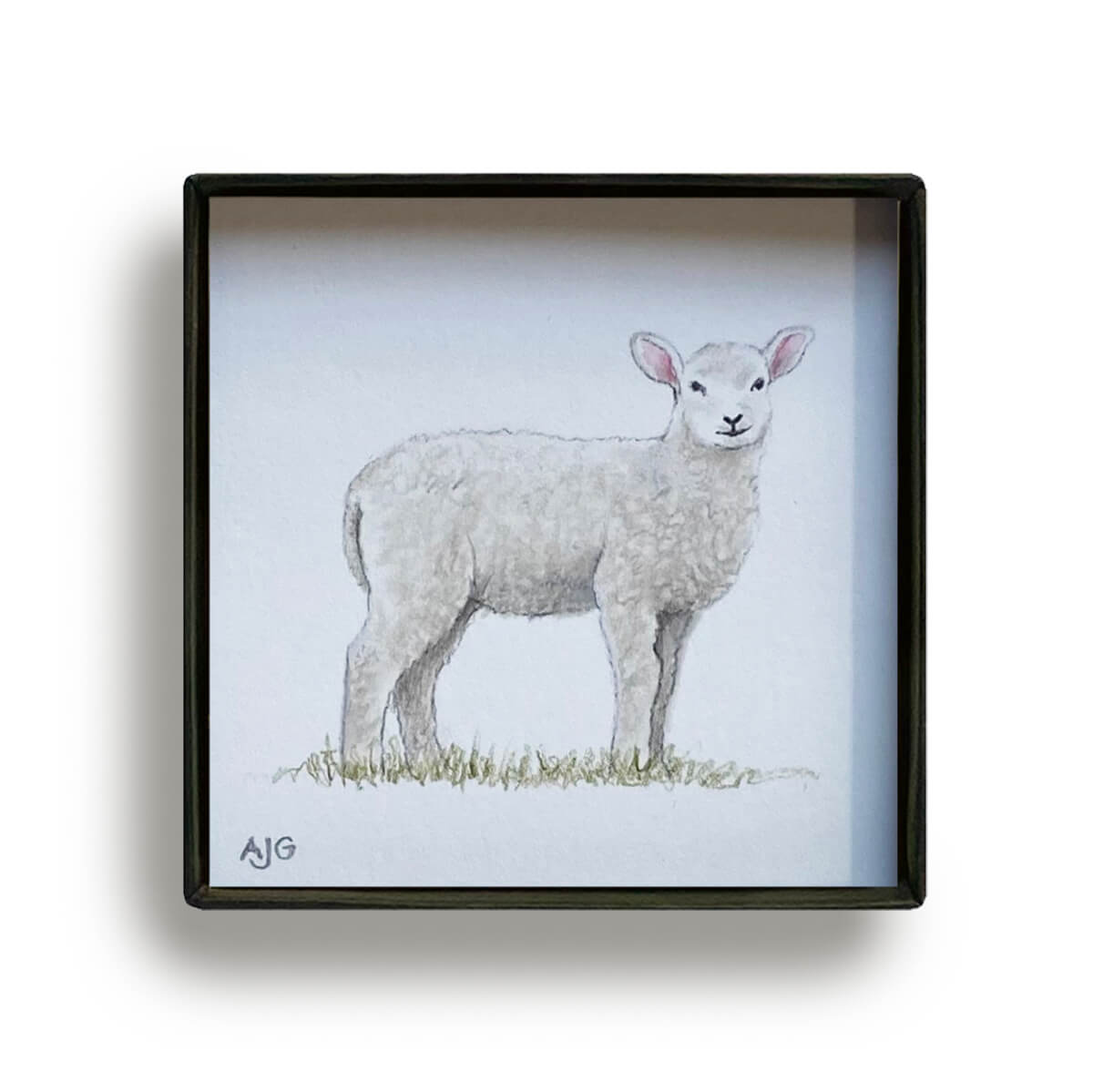Lamb Picture Box miniature animal painting by Amanda Gosse