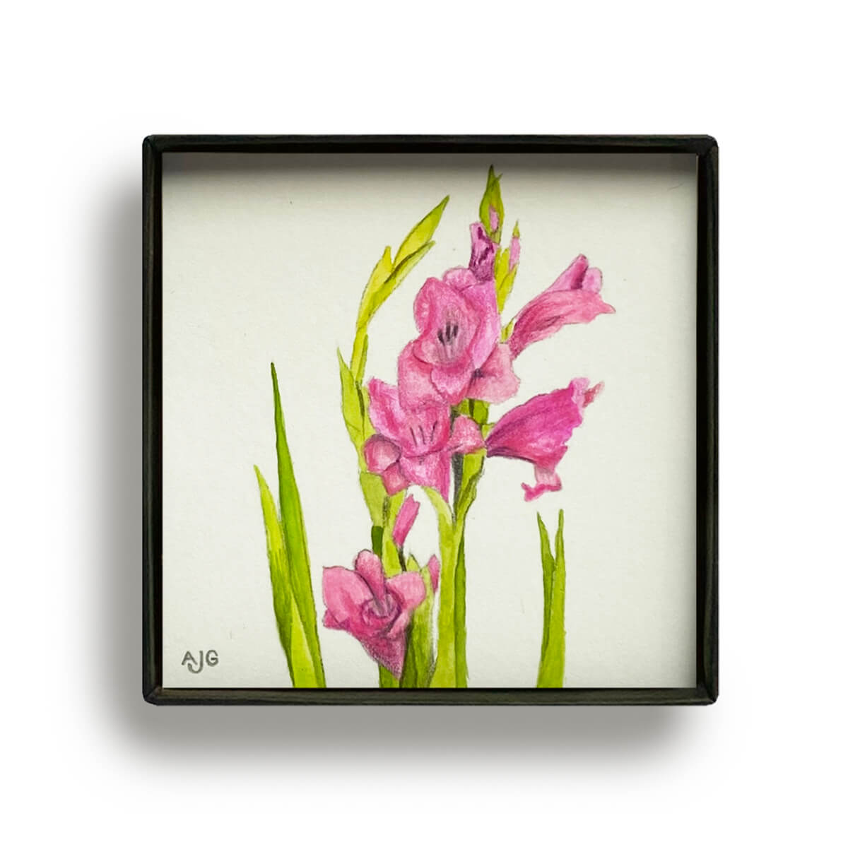 Pink gladioli flowers Picture Box miniature floral painting by Amanda Gosse