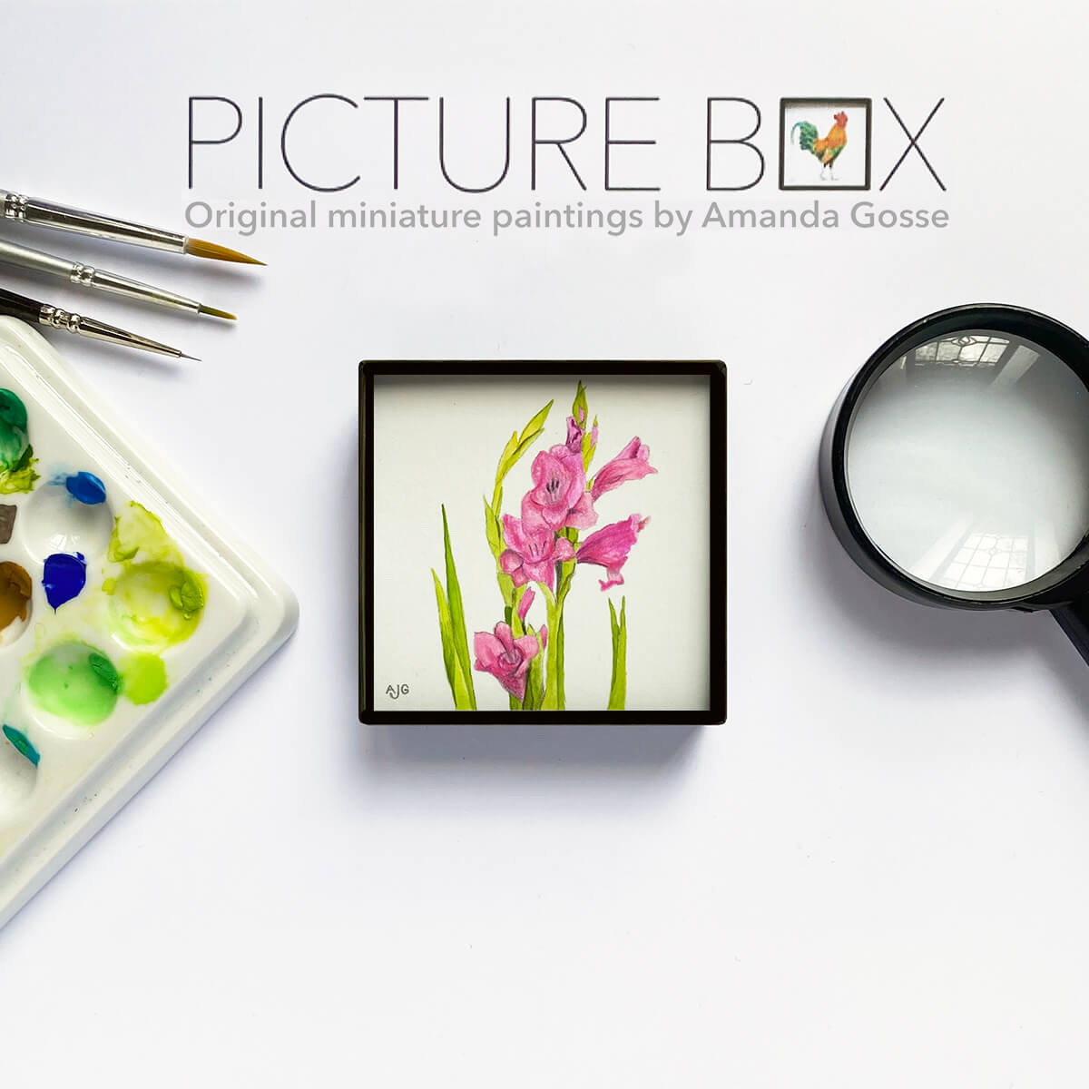 Pink gladioli flowers Picture Box miniature floral tiny artwork by Amanda Gosse