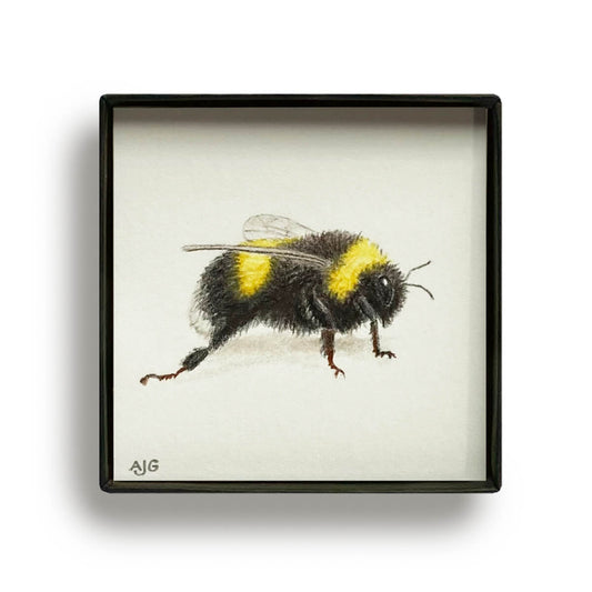 Bumblebee Painting Picture Box miniature insect painting by Amanda Gosse