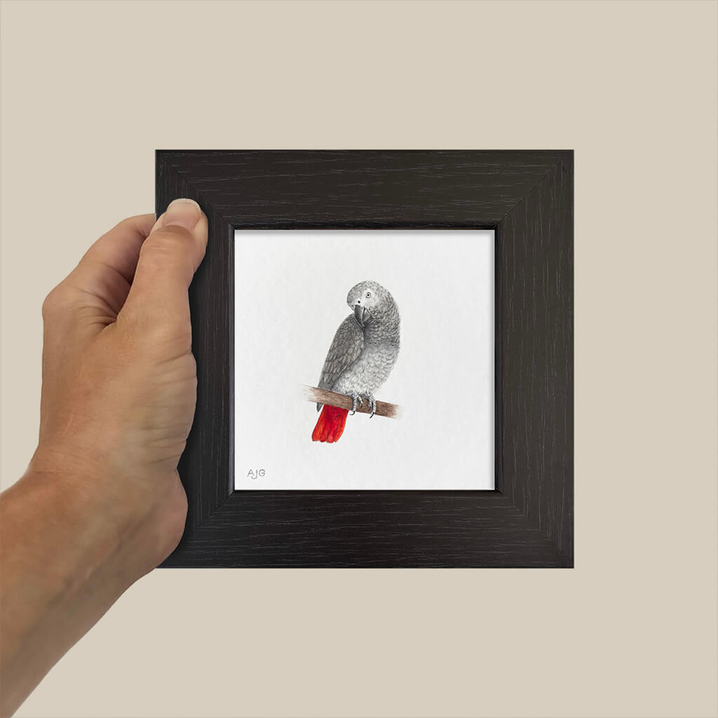 Hand holding a small framed picture of a parrot on a beige background