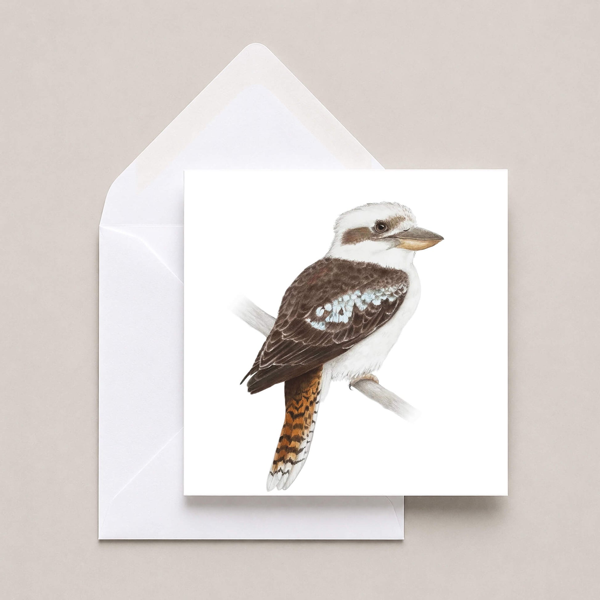 A square white greeting card featuring a detailed illustration of a kookaburra bird, shown with a white envelope on a neutral beige background.