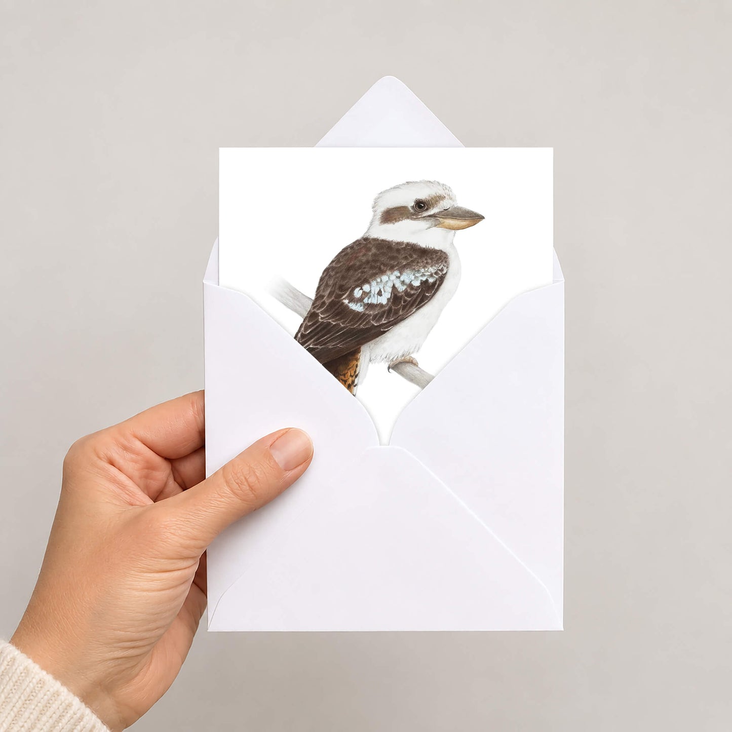 A hand holds a white greeting card partially pulled from a matching white envelope. The card features a detailed illustration of a kookaburra bird with brown, white, and grey colouring.