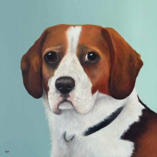 Beaglier original acrylic on canvas painting by pet portrait artist Amanda Gosse