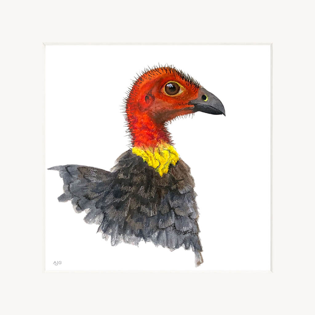 Illustration of a bird with a red head and yellow neck on a white background