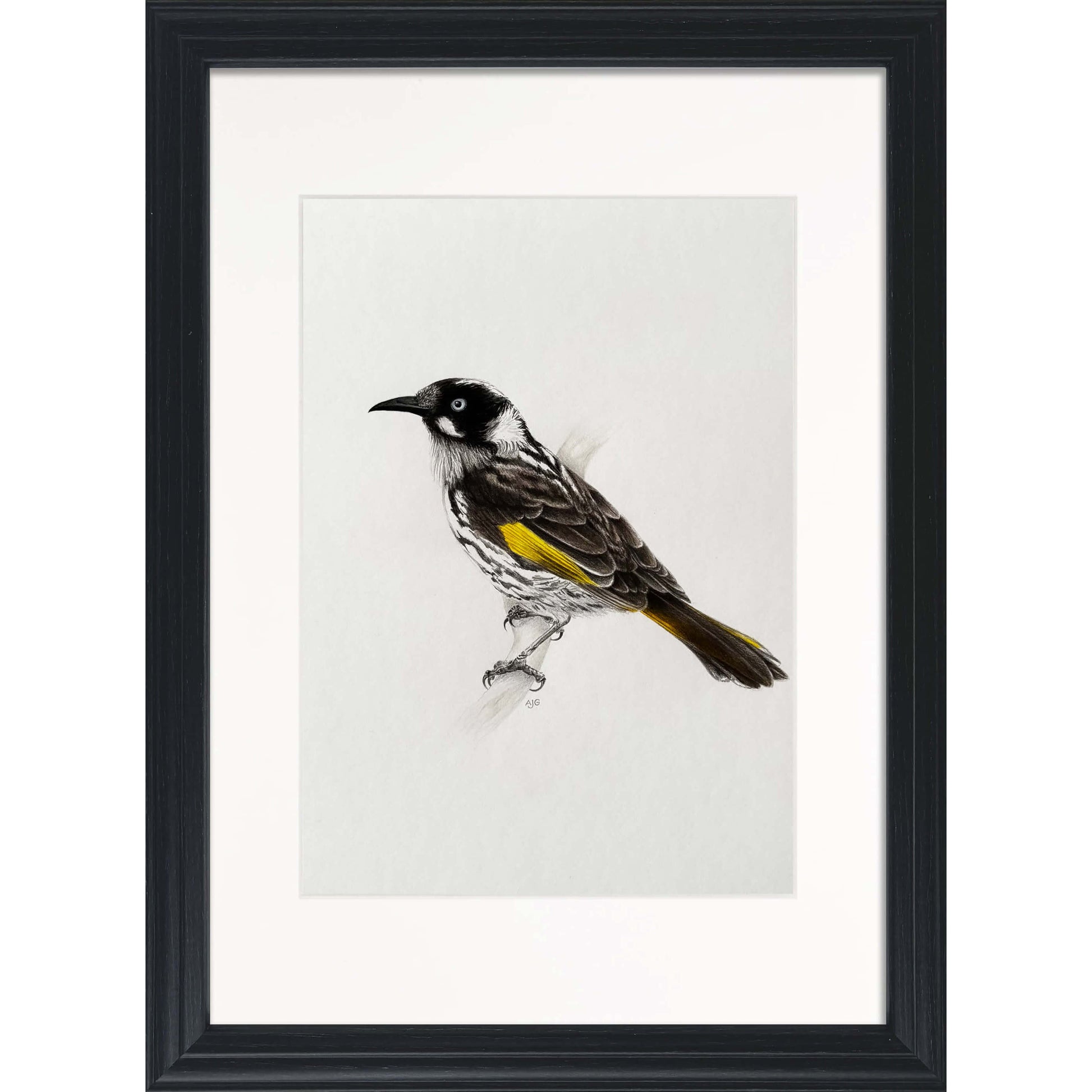 Framed artwork of a bird with a black frame on a white background