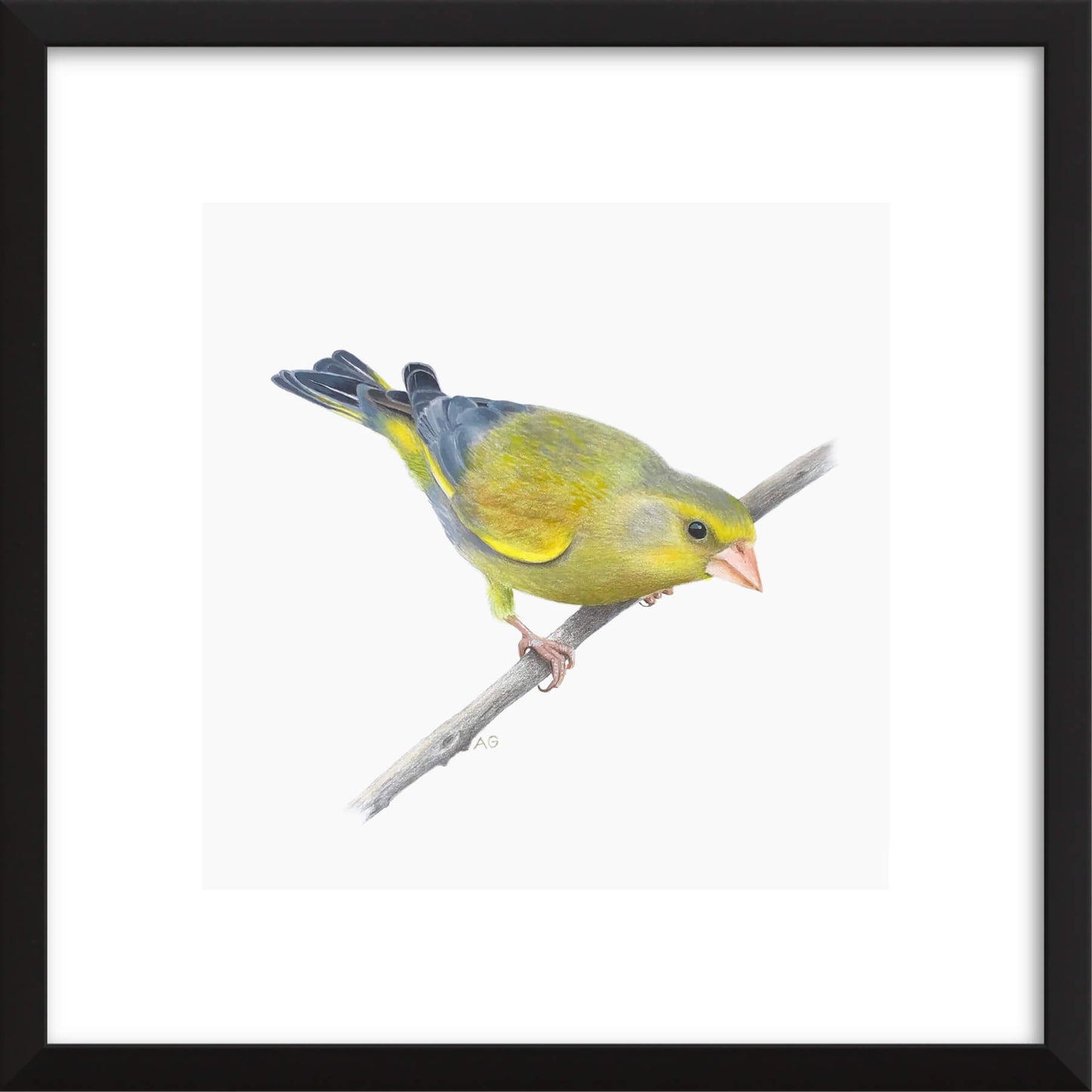 Fine art print of bird on branch in a plain black lacquer picture frame.