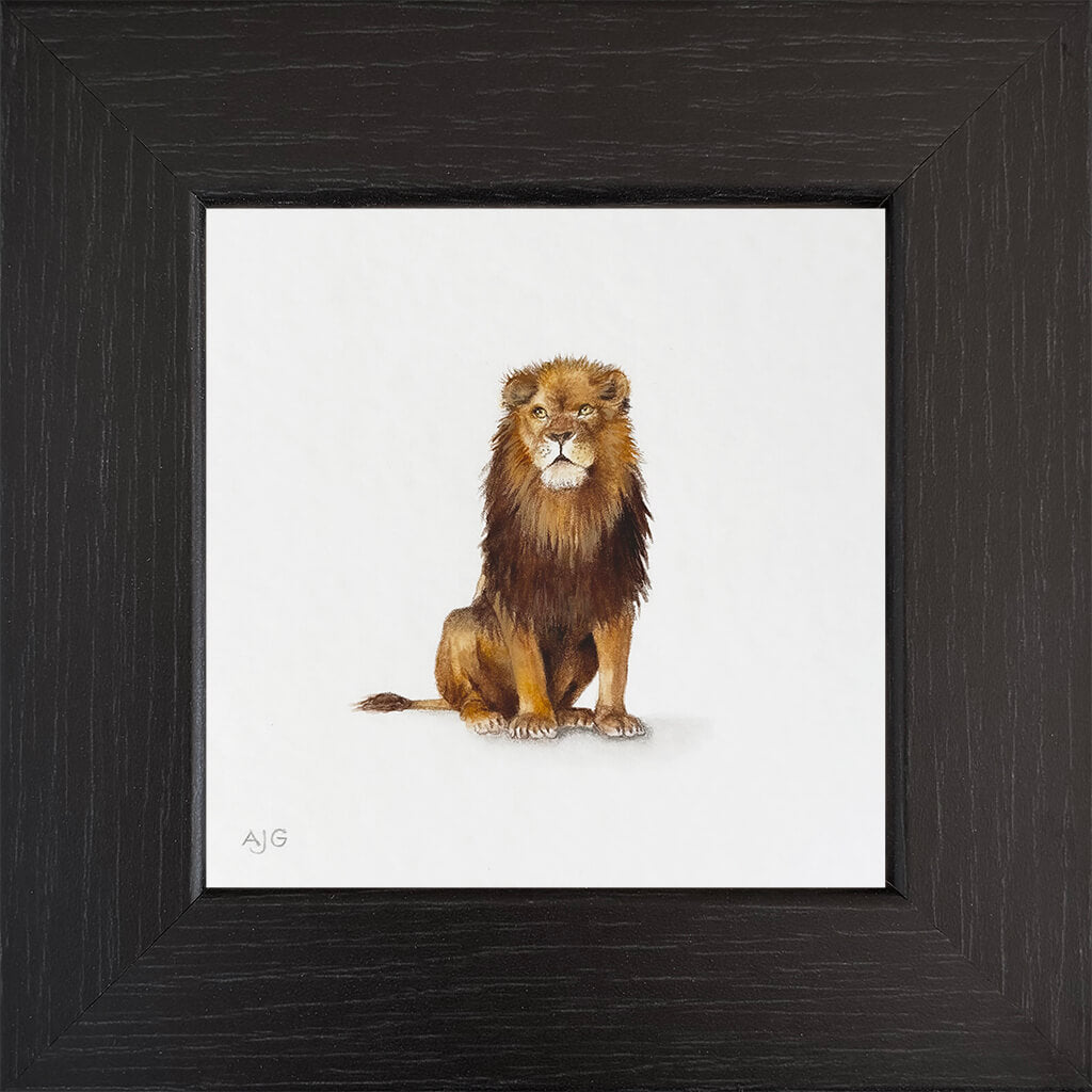 Framed artwork of a lion on a white background