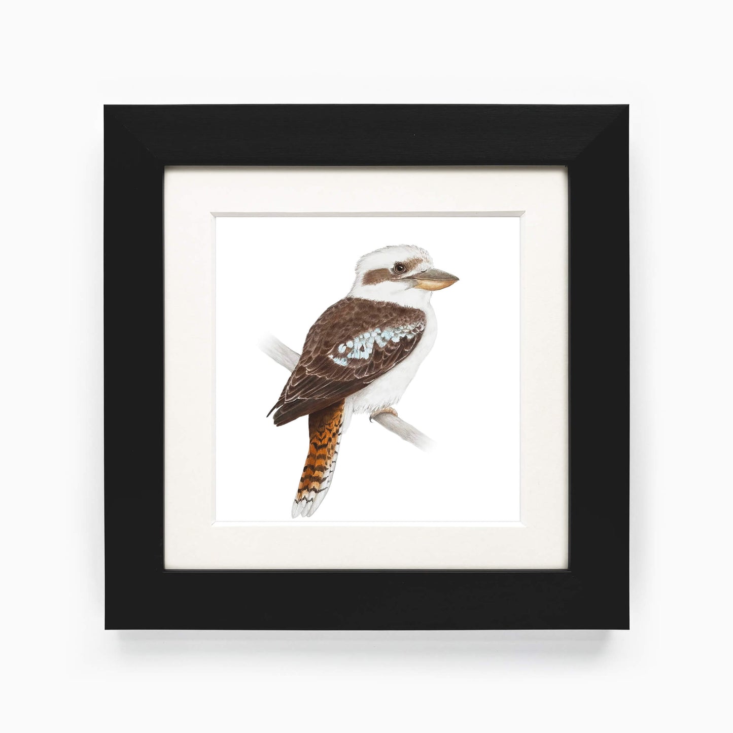 Framed artwork of a kookaburra bird on a white background