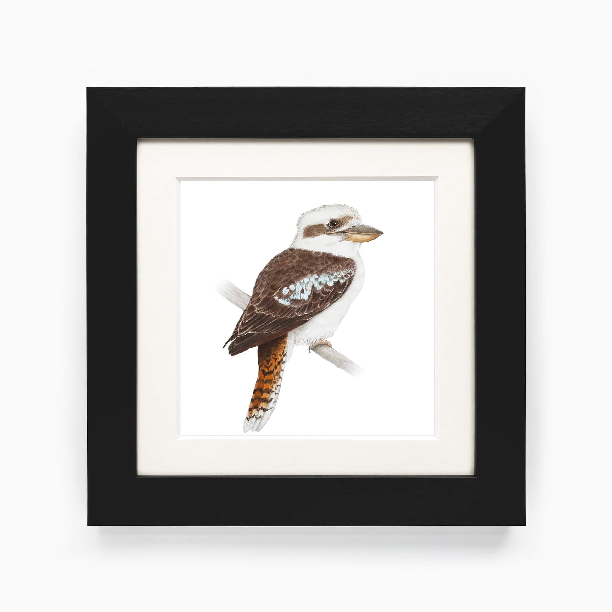 Framed artwork of a kookaburra bird on a white background