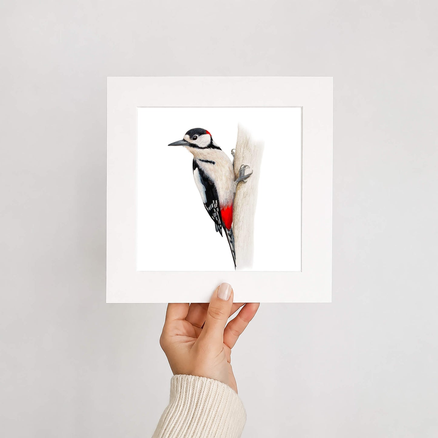 Hand holding a mounted print of a woodpecker on a white background