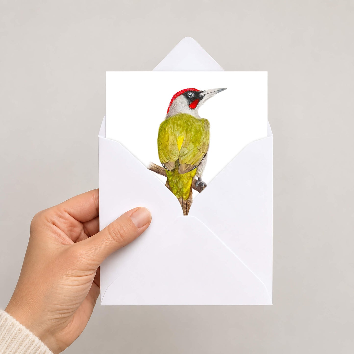Hand holding a white envelope containing a green woodpecker bird illustration greetings card, displayed halfway out of envelope, on a grey background