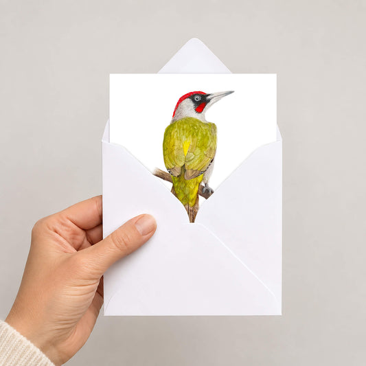 Hand holding a white envelope containing a green woodpecker bird illustration greetings card, displayed halfway out of envelope, on a grey background