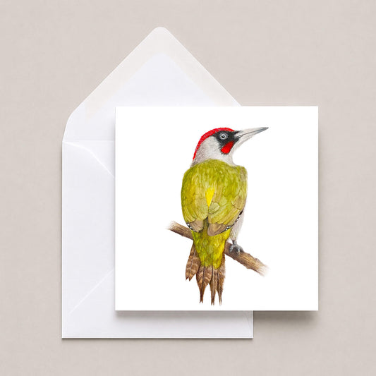 A square white greeting card featuring a painting of a green woodpecker with a red crown, shown with a white envelope on a light beige background.