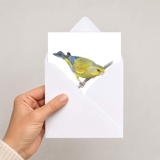 A hand holds a white greeting card with an illustration of a green and yellow bird (greenfinch) perched on a branch, with a matching white envelope behind it, against a plain light grey background.