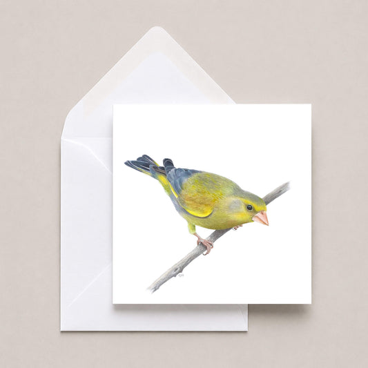 A square white greeting card featuring a painted greenfinch bird perched on a branch, shown with a white envelope on a light beige background.