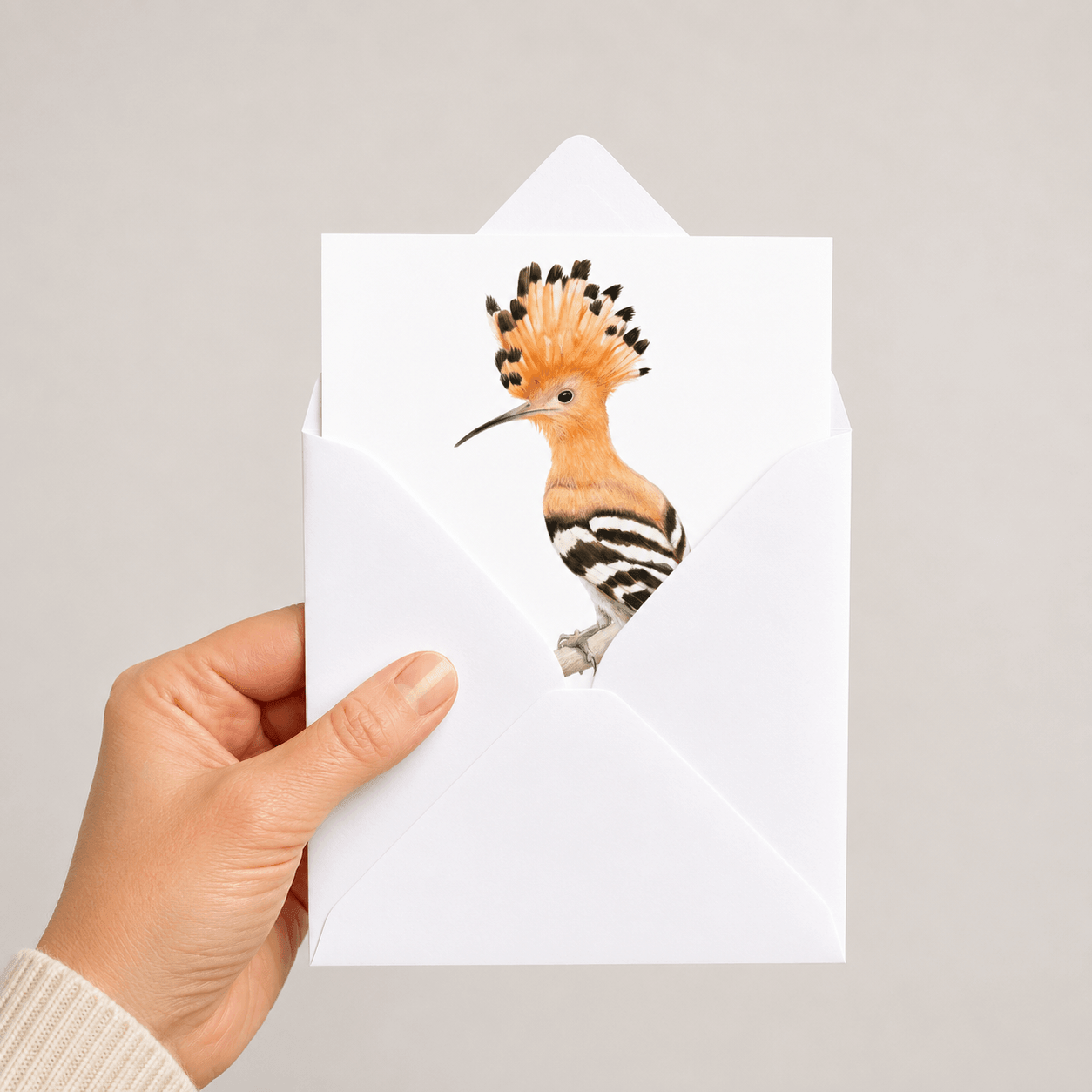 A hand holding a white envelope with an illustration of a hoopoe bird printed on the front, against a plain light grey background.