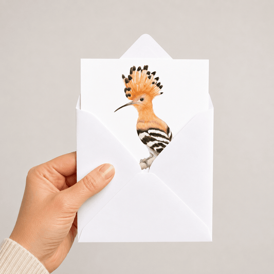 A hand holding a white envelope with an illustration of a hoopoe bird printed on the front, against a plain light grey background.