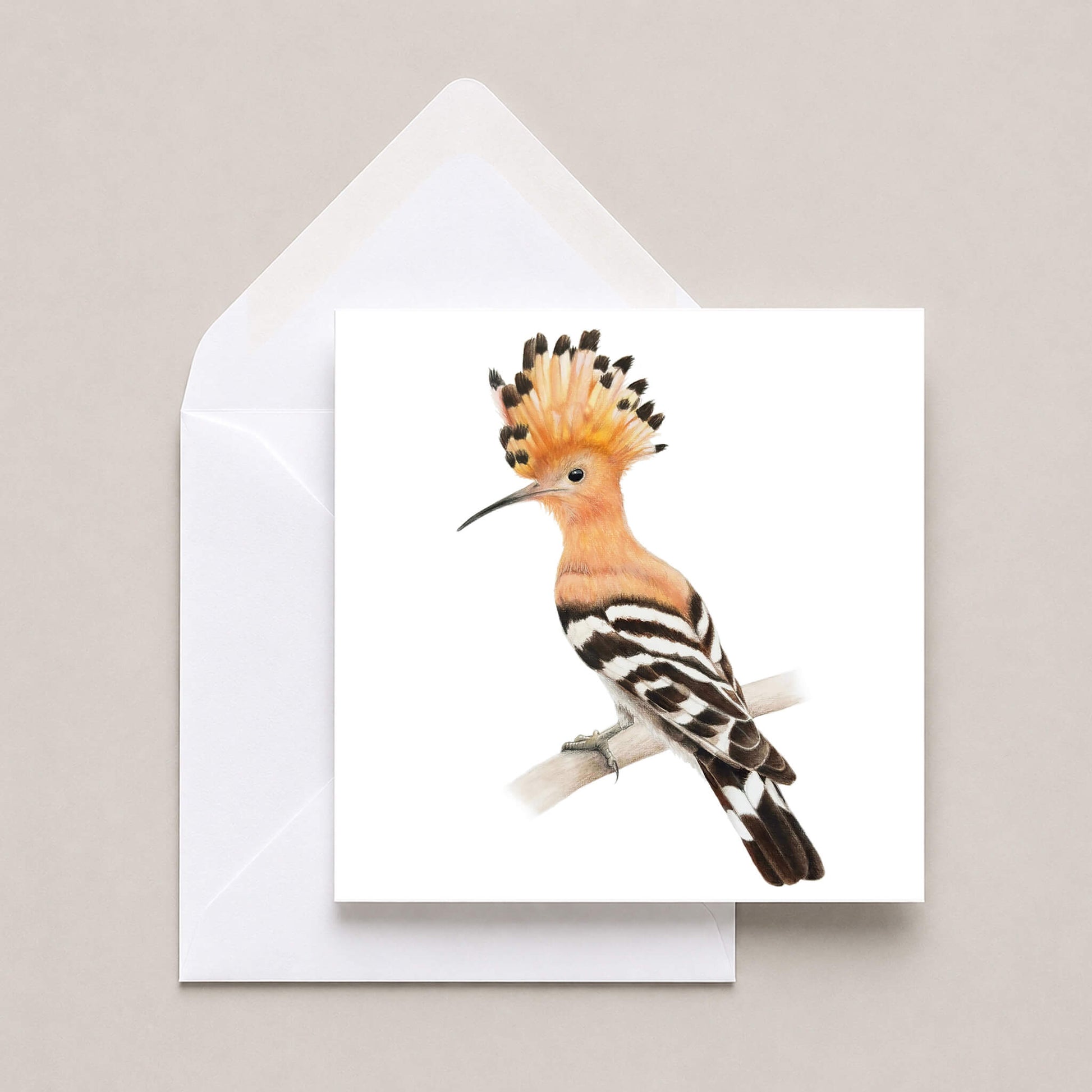 A square white greeting card featuring a watercolor illustration of a hoopoe bird with a peach-orange crest, black-and-white striped wings, and a curved beak, shown with a white envelope on a light beige background.