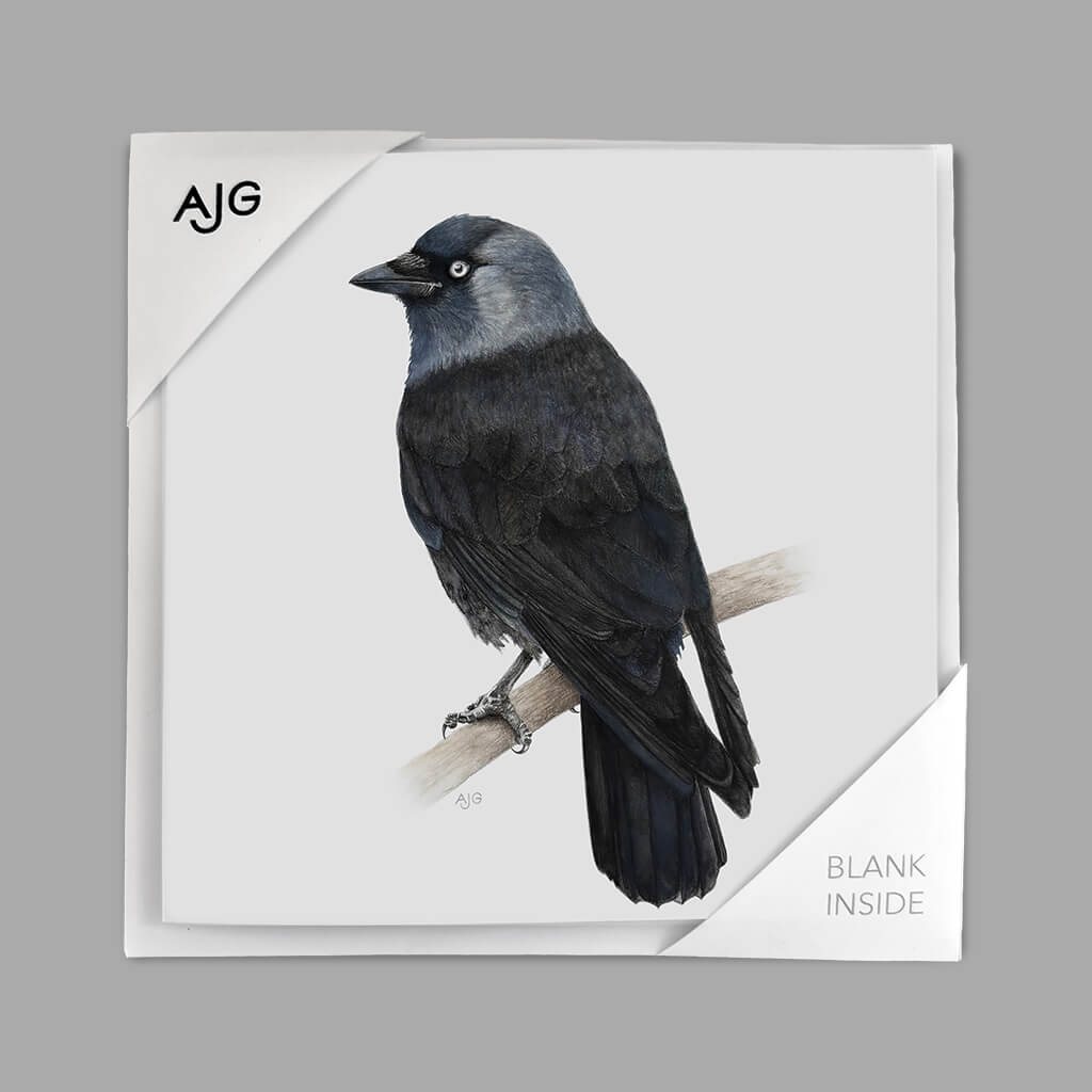 Card with a crow illustration on a grey background