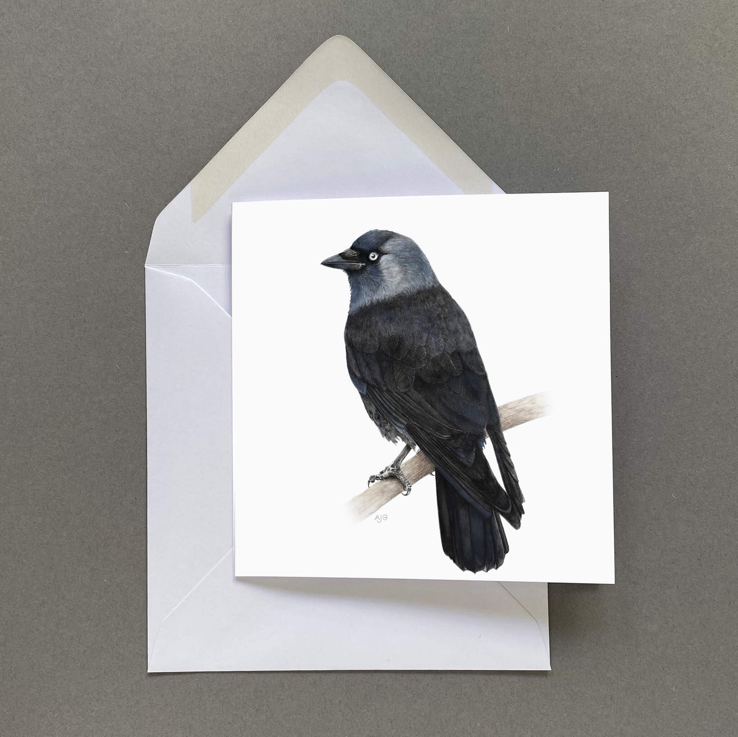 Greeting card with a jackdaw bird illustration on a white background, featuring a white envelope.