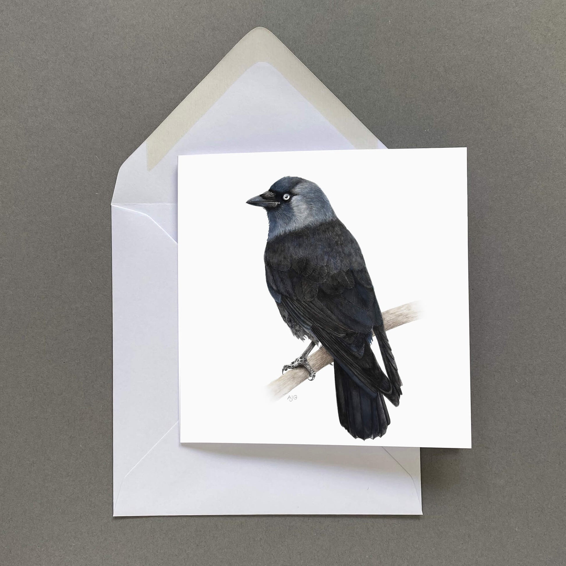Greeting card with a jackdaw bird illustration on a white background, featuring a white envelope.
