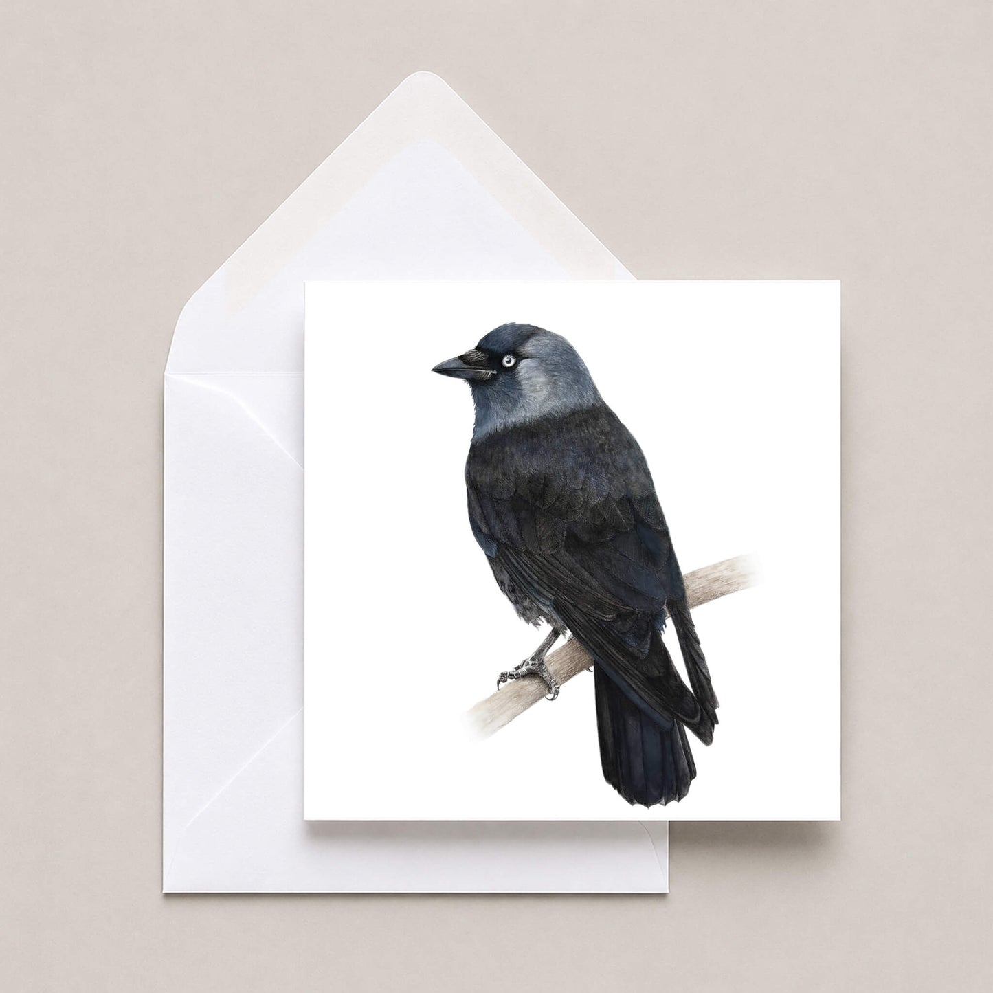 A square white greeting card featuring a detailed illustration of a jackdaw bird perched on a branch, shown with a white envelope on a light beige background.