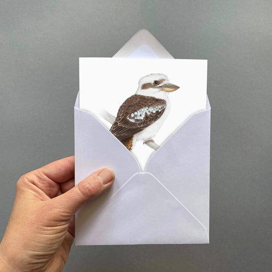 Hand holding a white envelope with a kookaburra card on a grey background