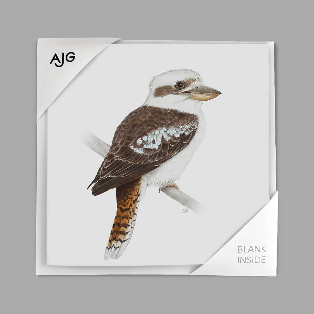 Greetings card with a kookaburra illustration on a grey background