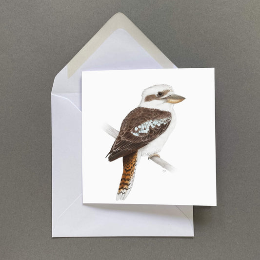 Card with a kookaburra illustration on a white background with envelope.