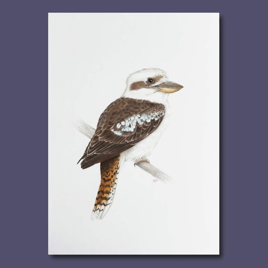 Original bird painting of a kookaburra, a grey and black corvid on a branch