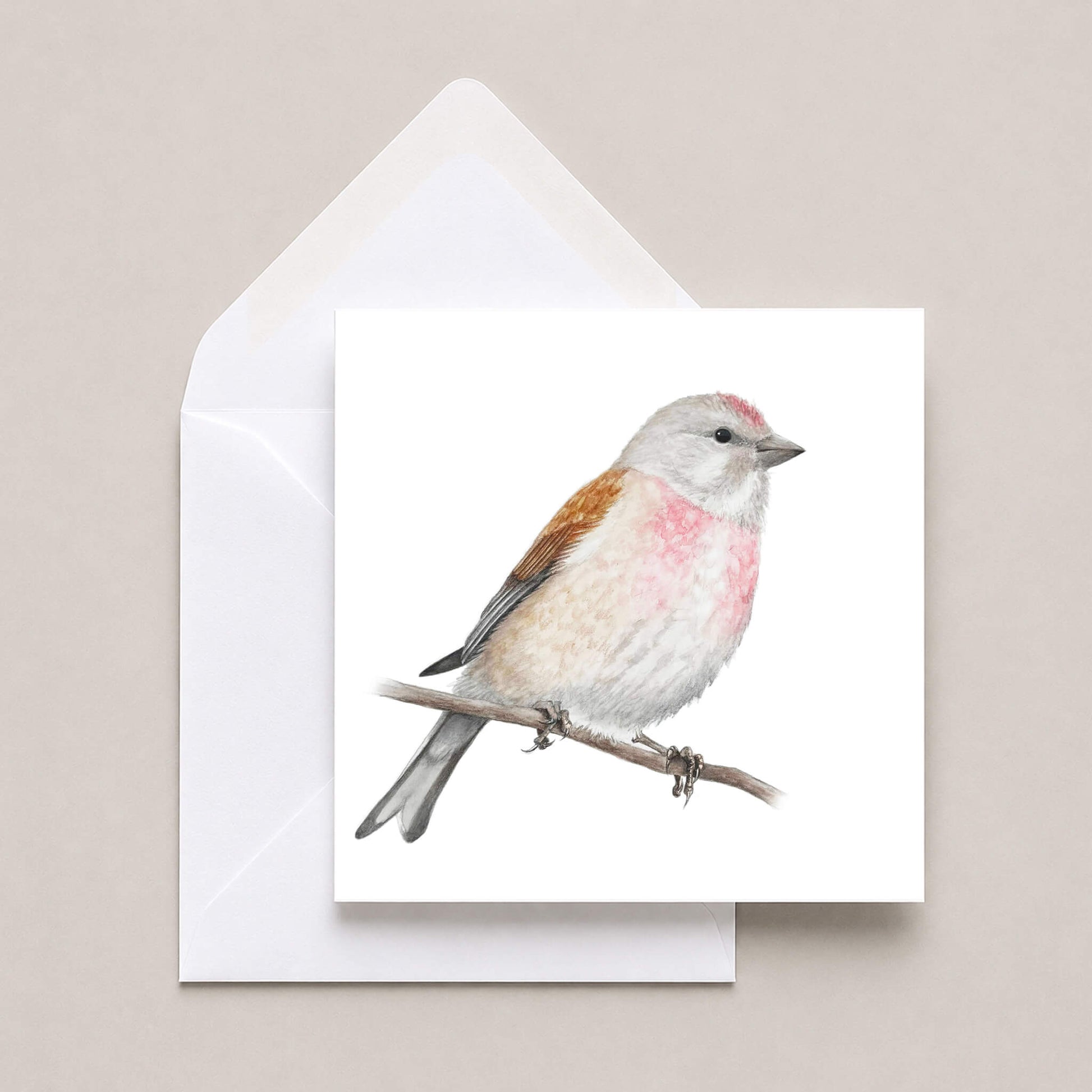 Greetings card featuring a linnet with a white envelope on a neutral background