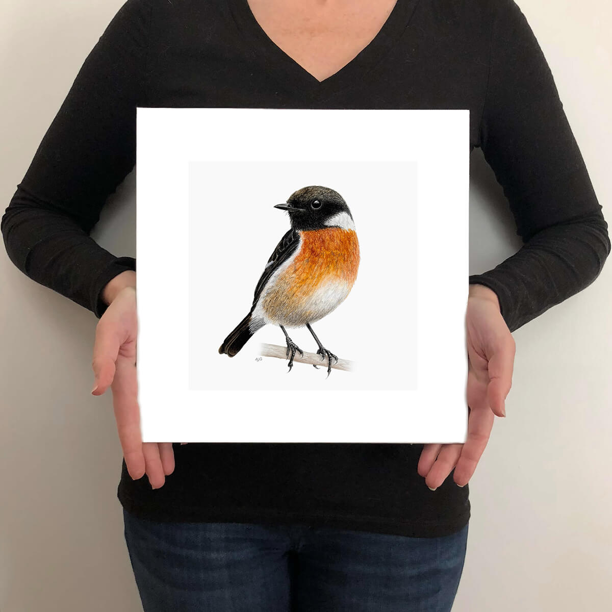 Male Stonechat bird giclée fine art print size guide