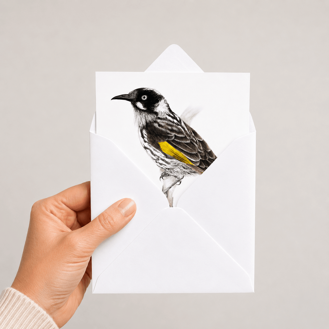 Hand holding a white envelope with a New Holland Honeyeater bird illustration greetings card on a grey background
