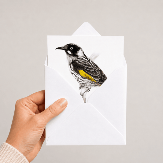 Hand holding a white envelope with a New Holland Honeyeater bird illustration greetings card on a grey background