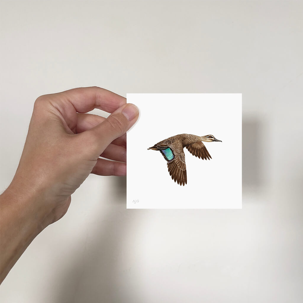 Hand holding unframed painting of a duck illustration on a plain background